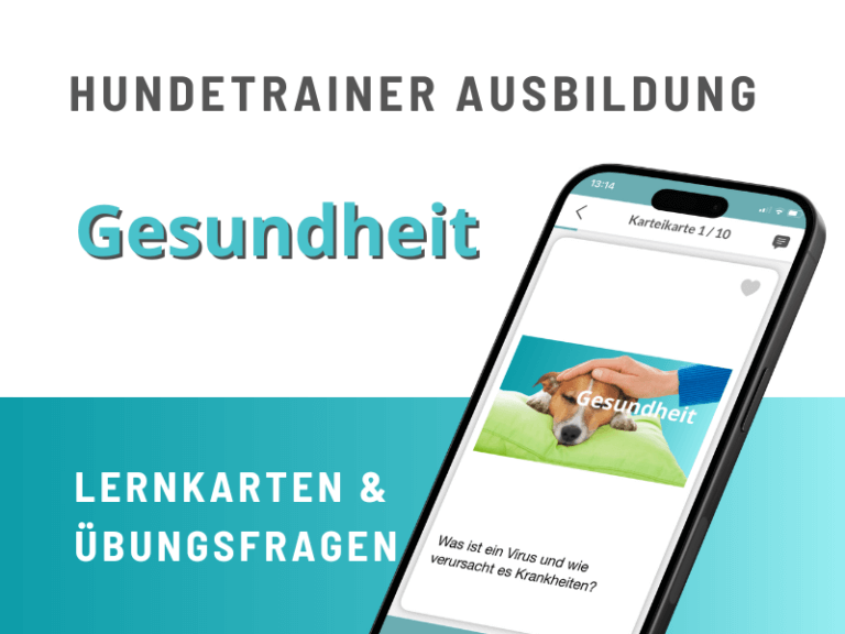 Hundetrainer Ausbildung Lernkarten Übungsfragen