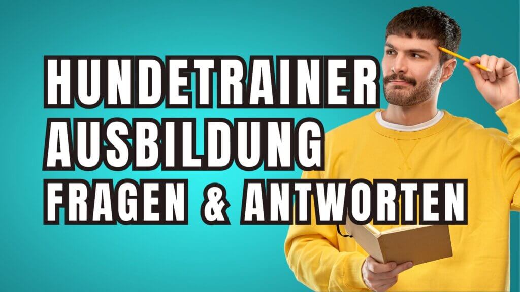 Hundetrainer Ausbildung